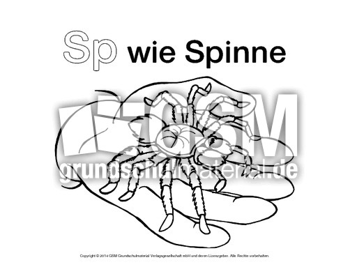 Sp-wie-Spinne-4.pdf
